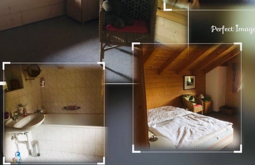 Salouf Ski Chalet | Chalet Bummi a chalet with breathtaking views in summer and winter