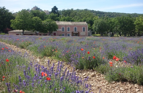 Simiane-la-Rotonde Cabin | Pet-Friendly Chalet Calune: Pool, Spa & Great Reviews!