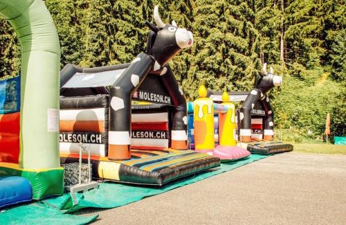 Moleson Ski Chalet | Pet-Friendly Chalet Castor: Guest Rated 9/10 Awaits You