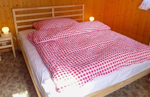 Mayens-de-Riddes Ski Chalet | Cozy Chalet Chante Neige: Pet & Child Friendly Retreat