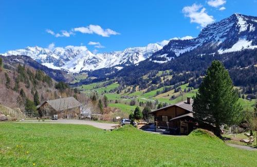 Nesslau-Krummenau Apartment | Child-Friendly Chalet Chnorz Apartment with Perfect Rating