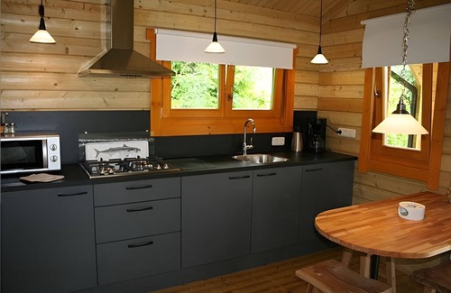 Zoutkamp Ski Chalet | Discover Chalet Copperwing: Pet-Friendly Nature Retreat