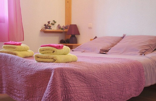 Feissons-sur-Salins Cottage | Chalet de la Yodine - Ideal Gîte for 27 in Savoie