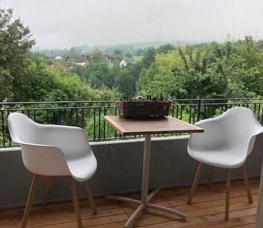Uehlingen-Birkendorf Apartment | Family-Friendly Chalet with Outstanding 9.1/10 Guest Rating
