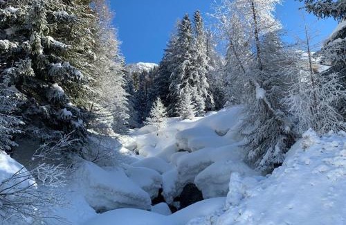 Gerola Alta Apartment | Chalet dei sogni Valtellina Gerola alta Pescegallo