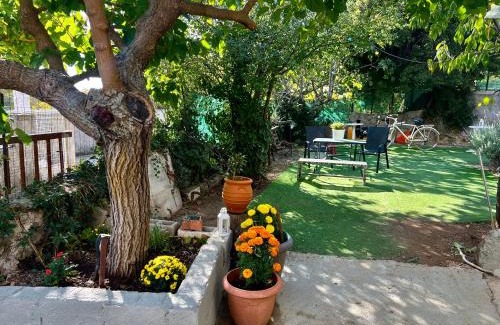 Dirfys-Messapia Ski Chalet | Chalet Dirfys - Escape in the heart of Evia