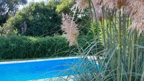 Villa General Belgrano House | Family-Friendly Chalet El Buho with Pool, Rated 9.8/10