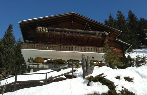 Jaun Apartment | Cozy Chalet Erica: Family-Friendly with Pet Amenities