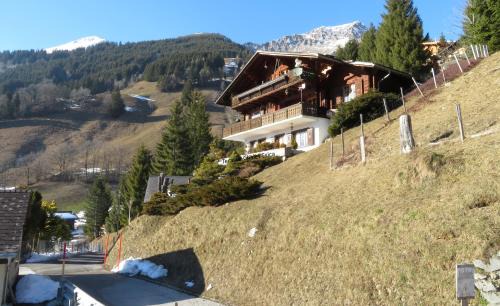 Jaun Apartment | Cozy Chalet Erica: Family-Friendly with Pet Amenities