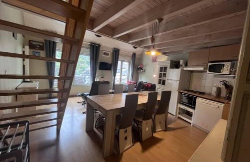 Cauterets Apartment | Chalet familial avec parking, à 50m des télécabines - FR-1-812-26