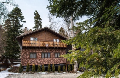 Arkhyz Ski Chalet | Exceptional Chalet Flora Plus with Hot Tub & Kitchen Access