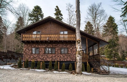 Arkhyz Ski Chalet | Exceptional Chalet Flora Plus with Hot Tub & Kitchen Access