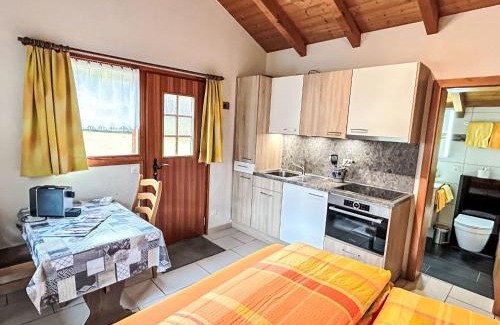 Saas Grund Ski Chalet | Cozy Chalet Häuschen Stadel: Family and Pet Friendly Retreat