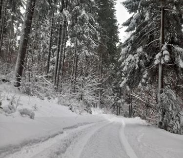 Busteni Cabin | Experience Chalet Hay Huy: Pet-Friendly with Hot Tub Bliss