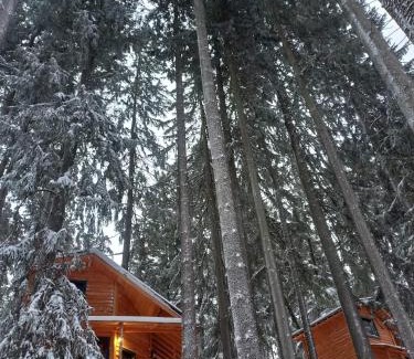 Busteni Cabin | Experience Chalet Hay Huy: Pet-Friendly with Hot Tub Bliss