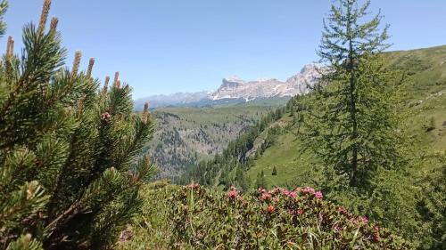 Arabba Apartment | Family-Friendly Chalet Heidi with Excellent Guest Ratings