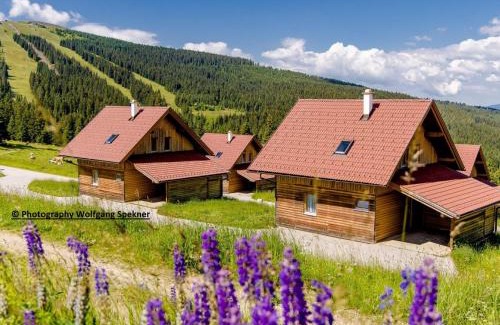 Frantschach-Sankt Gertraud House | Inviting Holiday Home in Weinebene with Sauna & Family Friendly