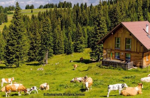 Frantschach-Sankt Gertraud House | Scenic Mountain Hut with Sauna on Weinebene, Rated 9/10