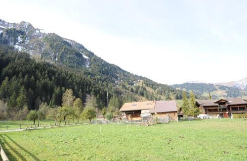 Lenk Apartment | Cozy Apartment in Lenk: Pet and Child Friendly Retreat