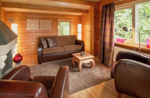 Ootmarsum Ski Chalet | Cozy Chalet with Gas Fireplace in Twente Holiday Park
