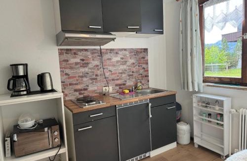 Sibratsgfaell Apartment | Cozy Studio in Sibratsgfäll with Garden & Pet-Friendly Stay