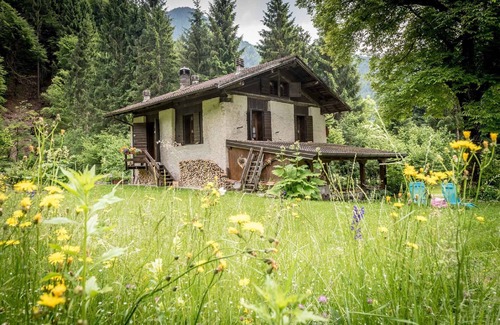 Concei Ski Chalet | Forest Retreat: Ideal for a Digital Detox & Pet-Friendly