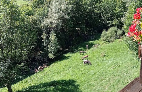 Acceglio House | Charming Chalet in Upper Maira Valley - Pet Friendly Stays