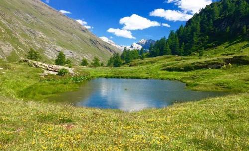 Bessans Apartment | Discover Chalet la Lauzette: Pet & Child Friendly Retreat