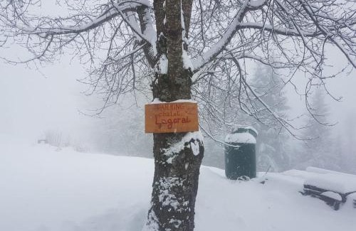 Roncegno Ski Chalet | Chalet Lagorai: Pet Friendly Retreat with High Guest Ratings