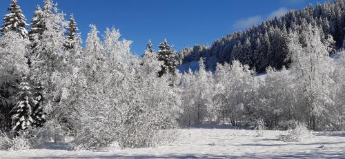 Lamoura Ski Chalet | Oceanfront Family Retreat at Chalet Les Epilobes
