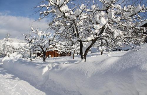Blindau Apartment | Discover Chalet Menkenhof: Oceanfront Family Getaway