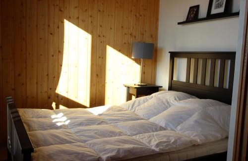 Chamrousse Ski Chalet | Family-Friendly Chalet Mitoyen in Chamrousse with Terrace
