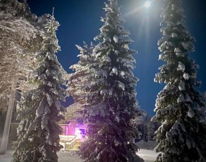 Naamijoki Villa | Oceanfront Bliss at Chalet Mummola - 4-Star Guest Rated