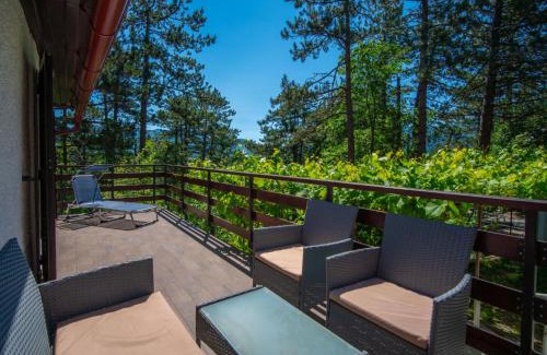 Lic Ski Chalet | Cozy Chalet Nina: Family-Friendly with Pool and Hot Tub