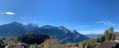 Hasliberg Wasserwendi Apartment | Guest Rated Chalet Orchis with Family-Friendly Amenities