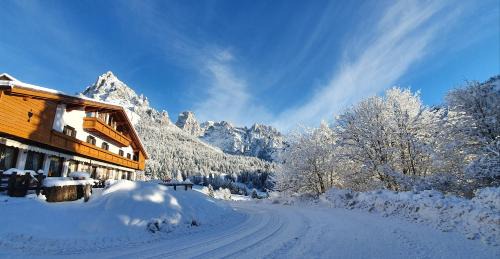 Primiero San Martino di Castrozza Hotel | Discover Chalet Piereni: Pet-Friendly with Top Reviews!