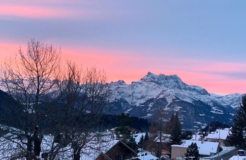 Leysin Apartment | Pet-Friendly Chalet Plein Soleil with Child-Friendly Amenities