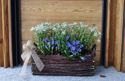 San Martino di Castrozza Hotel | Exceptional Chalet Prà delle Nasse with Hot Tub & Breakfast