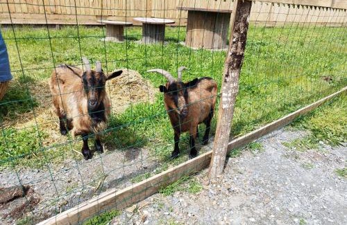 Spay Bed & Breakfast | Tranquil Chalet Near the Circuit - Child Friendly Haven