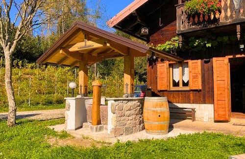 Forni di Sotto Ski Chalet | Discover Chalet Relax Tra Le Vigne - Family-Friendly Retreat
