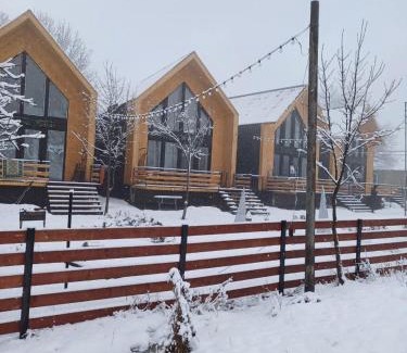 Likani Ski Chalet | Charming Chalet Resort Weekend in Borjomi - Family Friendly