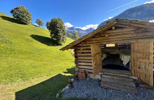Peist Ski Chalet | Chalet Schluechtyi