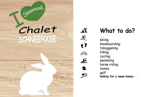 Stadl an der Mur Ski Chalet | Family-Friendly Retreat at Chalet Snow Bunny - Rated 8.7/10