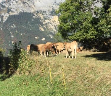 Saint-Michel-de-Maurienne Ski Chalet | Chalet St Michel de Maurienne: Guest Rated 9.9/10 & Family-Friendly