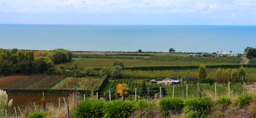 Napier Villa | Discover Chalet Swen Song: Guest Rated 9.8/10 Stay