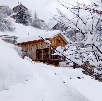 Pecol Apartment | Family-Friendly Chalet-Tabia'al Sol in Dolomiti Mountains