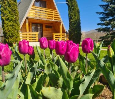 Gospic Ski Chalet | Pet-Friendly Chalet Velebitska Kuća with Ocean Views