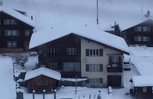 Adelboden Apartment | Chalet Wildbach: Family-Friendly Retreat with Pet Perks