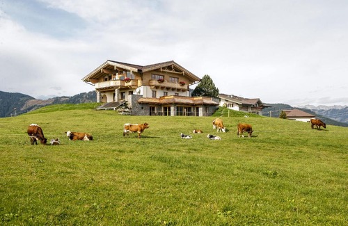 Flachau Ski Chalet | Pet-Friendly Chalet Winterbauer with Oceanfront Views