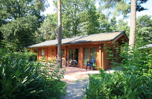 Susteren House | Cozy Chalet with Terrace: Family and Pet Friendly Escape